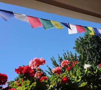 Bed & Breakfast Bonn 24 Mai Bis14 Juni Mit Hund In Der Wohnung Eksteriør billede