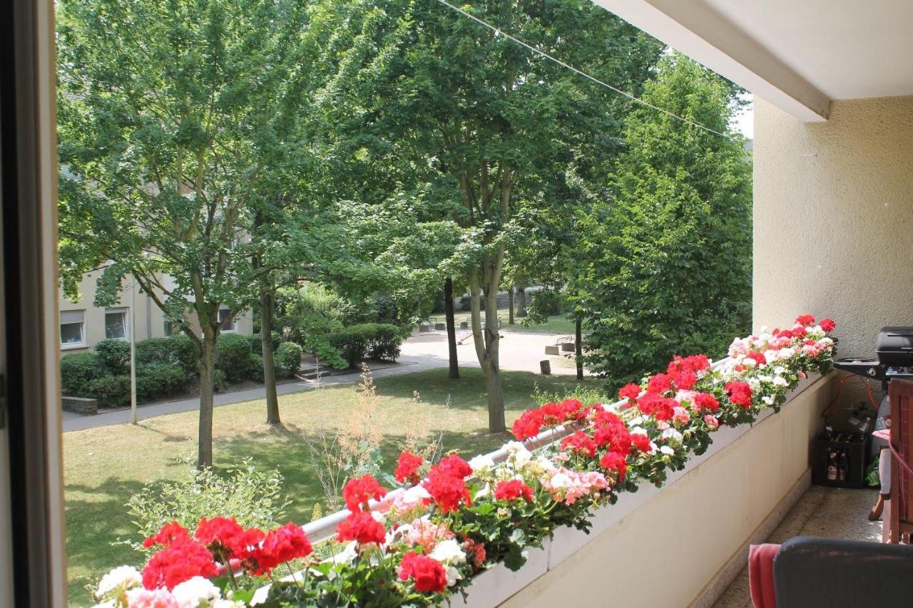 Bed & Breakfast Bonn 24 Mai Bis14 Juni Mit Hund In Der Wohnung Eksteriør billede